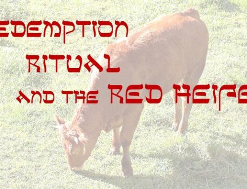 Redemption, Ritual, and the Red Heifer